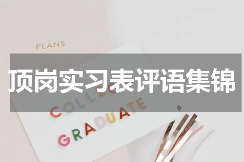 顶岗实习表评语集锦