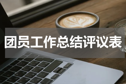 团员工作总结评议表