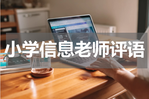 小学信息老师评语