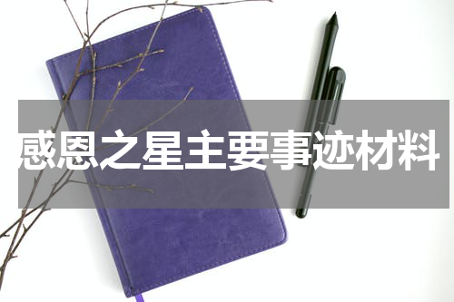 感恩之星主要事迹材料