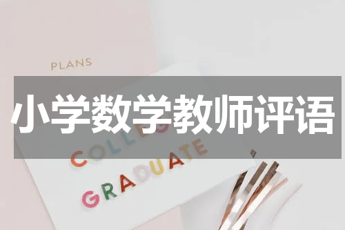 小学数学教师评语