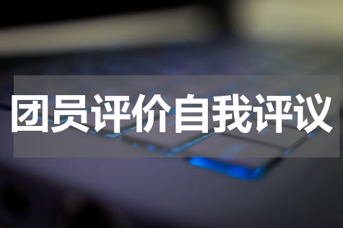 团员评价自我评议