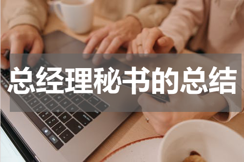 总经理秘书的总结