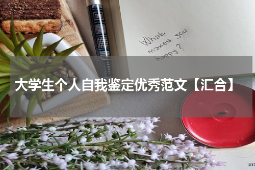 大学生个人自我鉴定优秀范文【汇合】