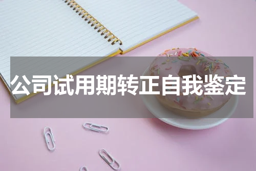 公司试用期转正自我鉴定