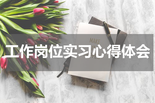 工作岗位实习心得体会