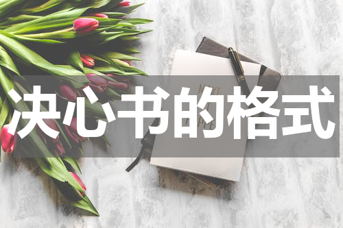 决心书的格式