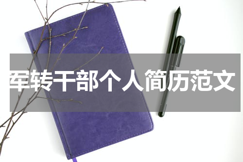 军转干部个人简历范文