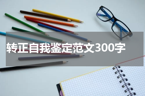转正自我鉴定范文300字