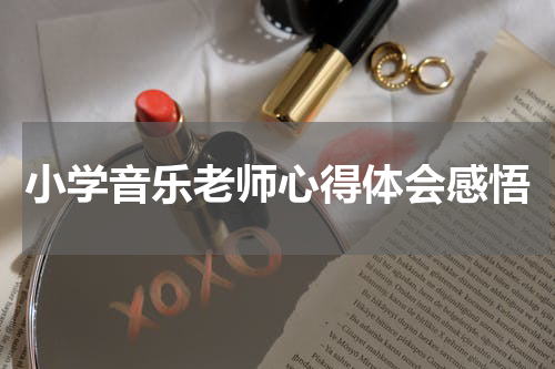 小学音乐老师心得体会感悟