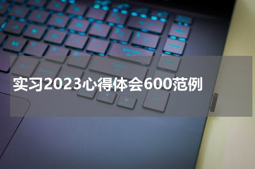 实习2023心得体会600范例