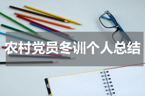 农村党员冬训个人总结