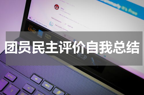 团员民主评价自我总结