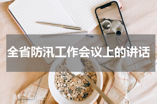 全省防汛工作会议上的讲话