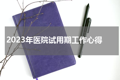 2023年医院试用期工作心得