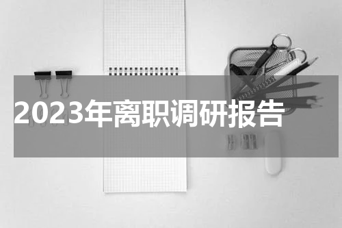 2023年离职调研报告