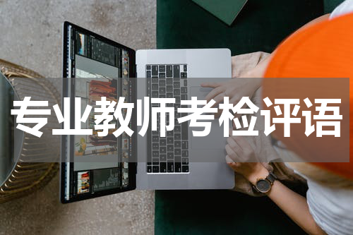 专业教师考检评语
