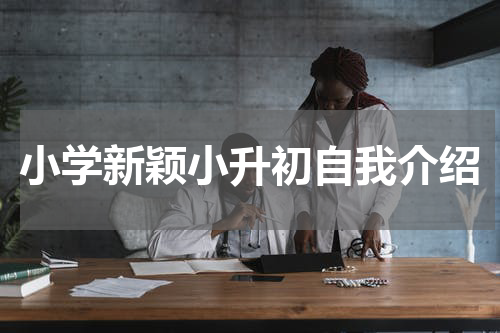 小学新颖小升初自我介绍