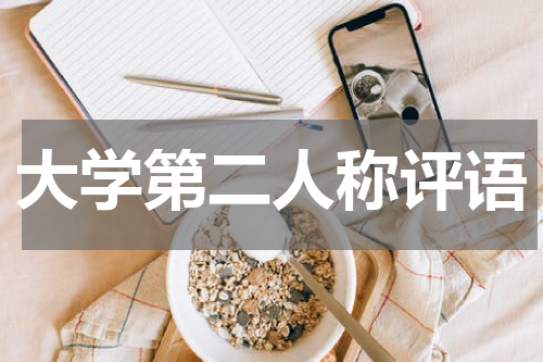 大学第二人称评语