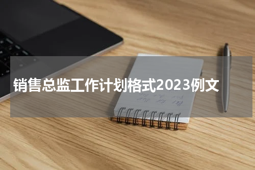 销售总监工作计划格式2023例文