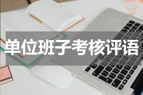单位班子考核评语