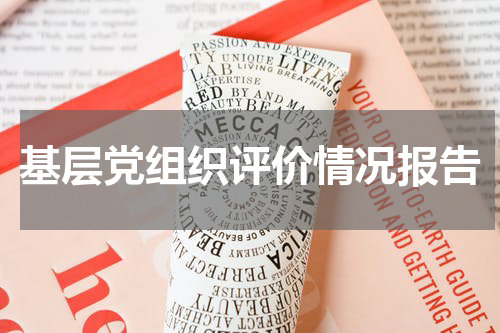 基层党组织评价情况报告