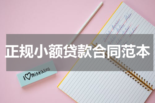 正规小额贷款合同范本