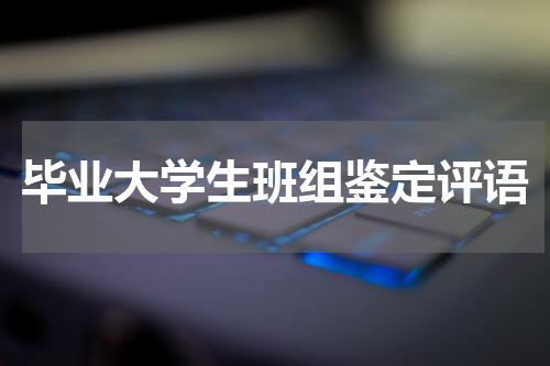 毕业大学生班组鉴定评语
