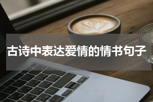 古诗中表达爱情的情书句子
