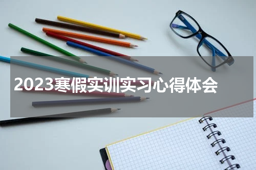 2023寒假实训实习心得体会