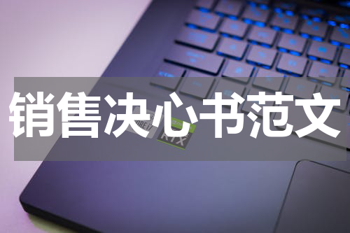 销售决心书范文