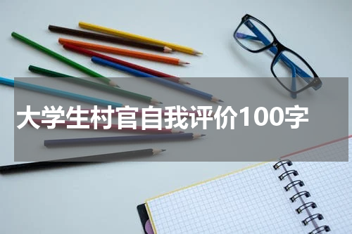 大学生村官自我评价100字