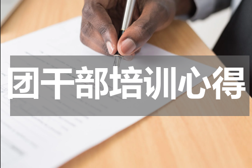 团干部培训心得