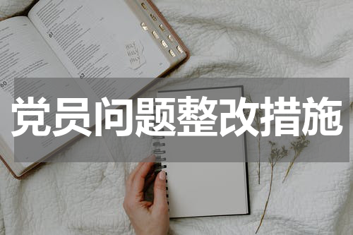 党员问题整改措施