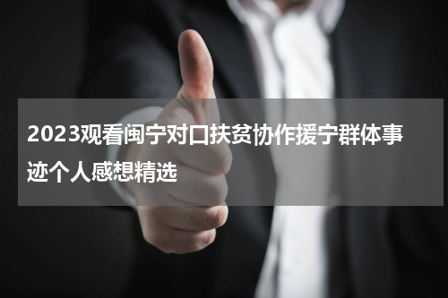 2023观看闽宁对口扶贫协作援宁群体事迹个人感想精选