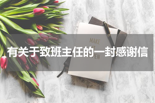 有关于致班主任的一封感谢信