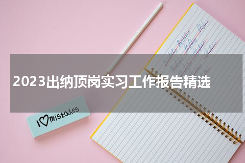 2023出纳顶岗实习工作报告精选