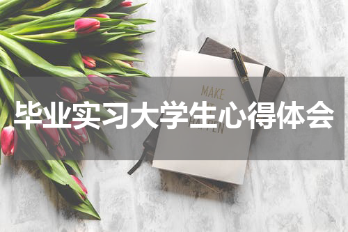 毕业实习大学生心得体会