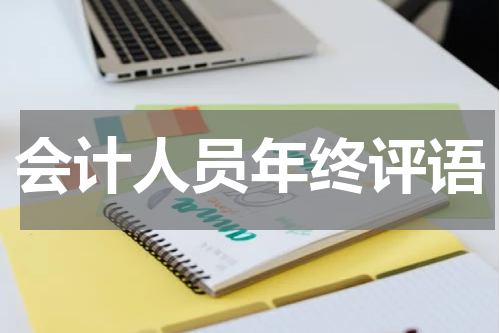 会计人员年终评语