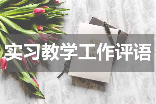 实习教学工作评语