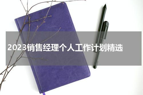 2023销售经理个人工作计划精选