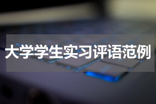 大学学生实习评语范例