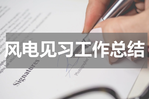 风电见习工作总结