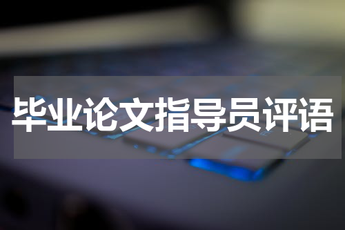 毕业论文指导员评语