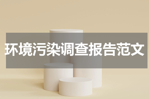 环境污染调查报告范文
