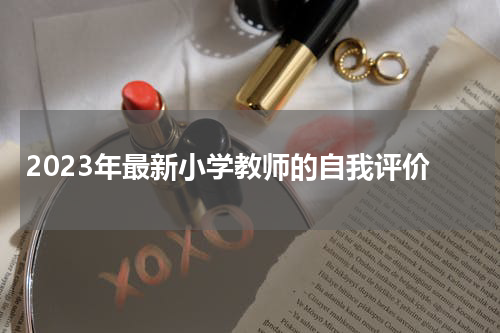 2023年最新小学教师的自我评价