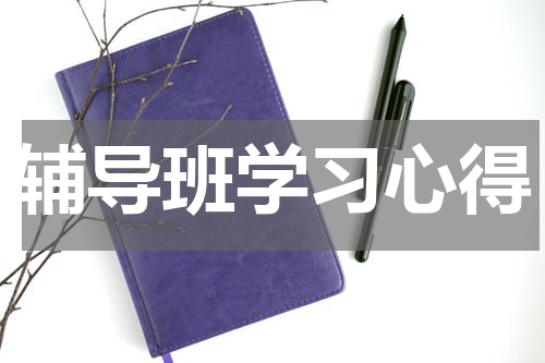 辅导班学习心得