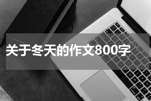 关于冬天的作文800字