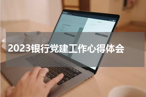 2023银行党建工作心得体会