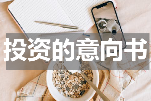 投资的意向书